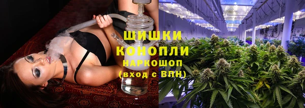 дмт Алзамай