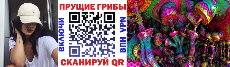 как найти закладки  Куровское  Галлюциногенные грибы мухоморы 
